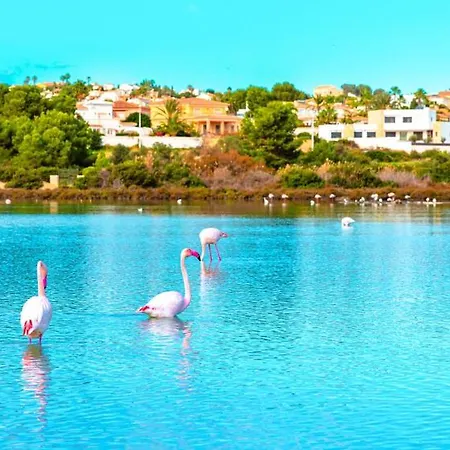 Апартаменти With Pool & Gym *