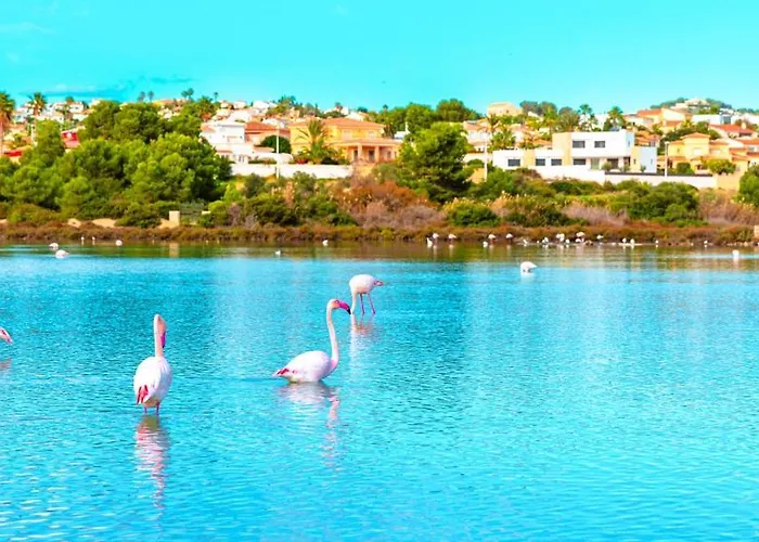 Apartment With Pool & Gym *